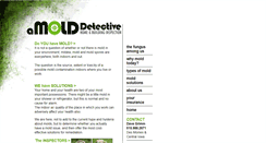 Desktop Screenshot of amolddetective.com